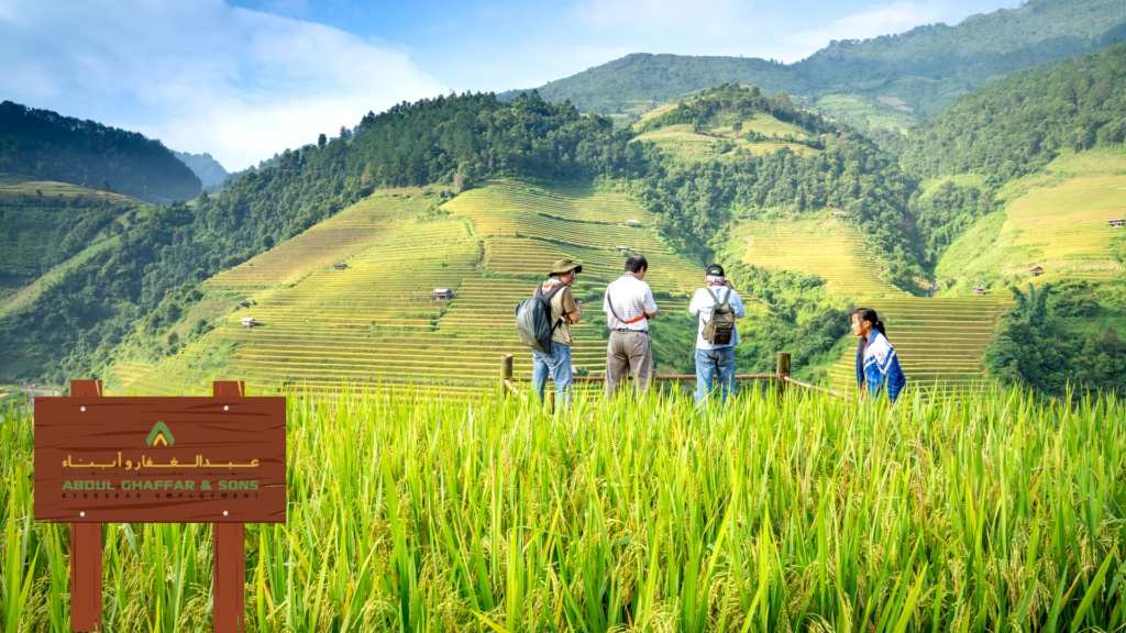 Best recruitment Agency for agriculture -abdul ghaffar and sons
