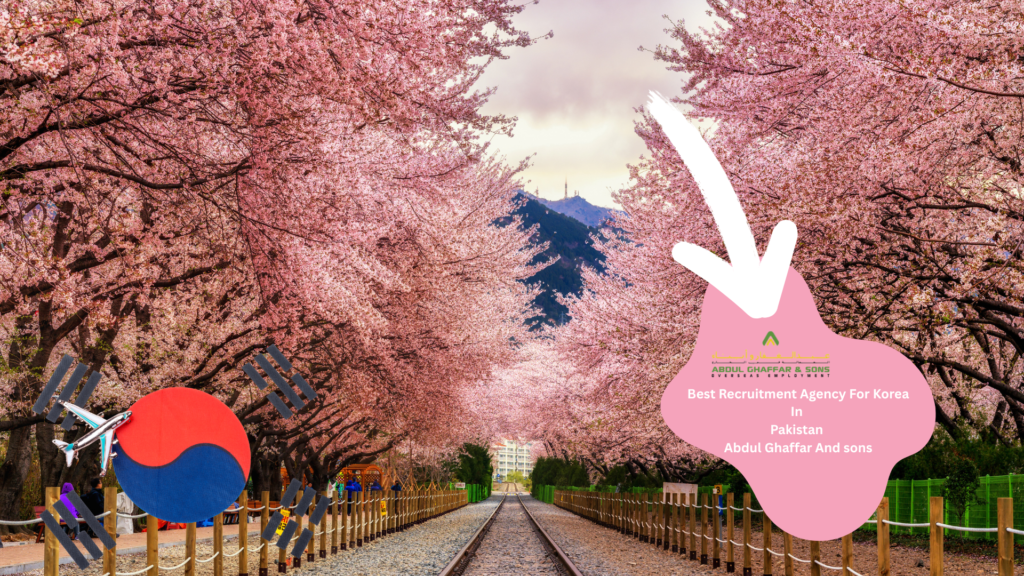 Pakistan's Best Recruitment Agency For korea